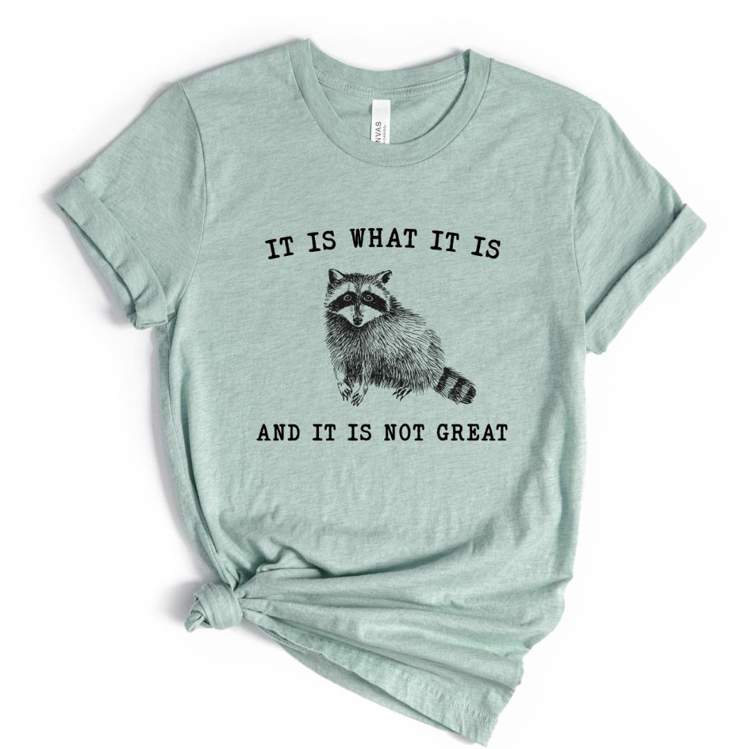 PRE-ORDER It Is What It Is Raccoon Graphic T-Shirt
