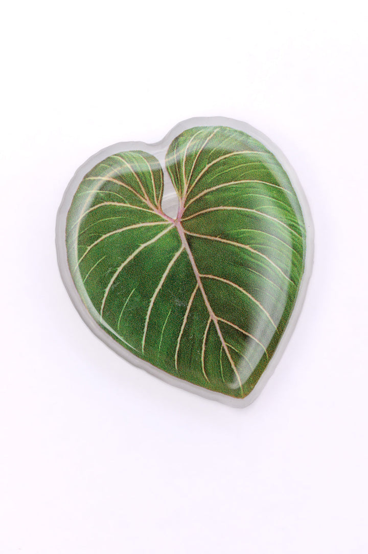 Womens - Plant Lover Phone Girp Tropical Leaf
