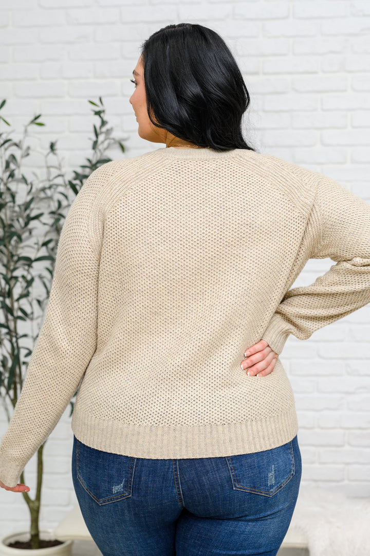 Womens - Chai Latte V-Neck Sweater In Oatmeal