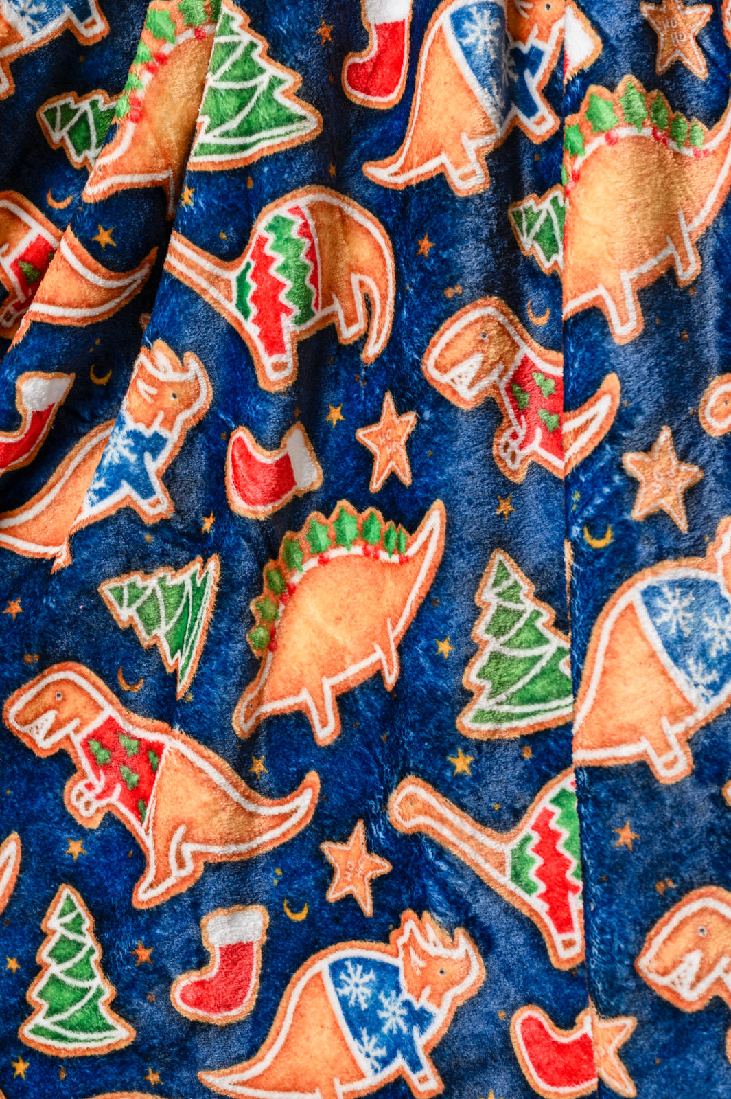 Womens - Holiday Fleece Blanket In Dino Cookie