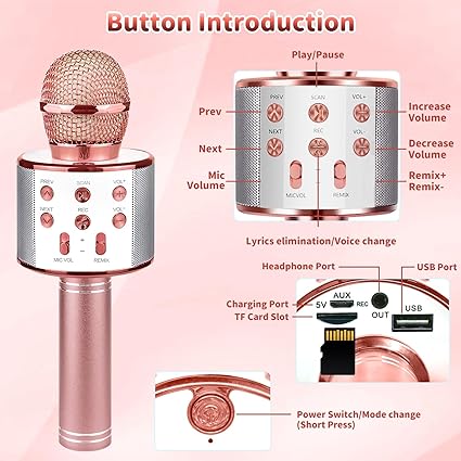 Womens - PREORDER: Rockstar Karaoke Microphone In Assorted Colors